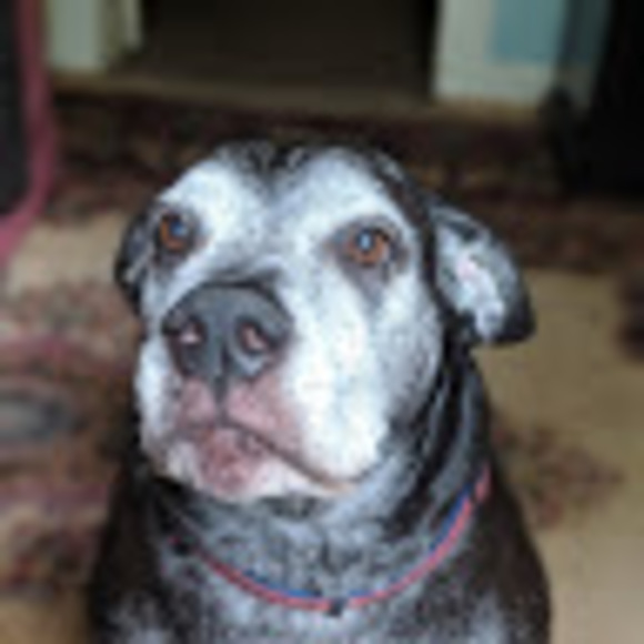 Meet your Posher, Jt - Picture 1 of 1